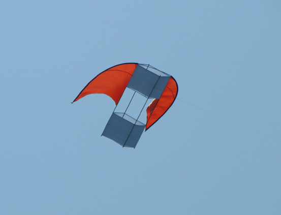 31- Roi des airs - Jean-Marc Bardeau